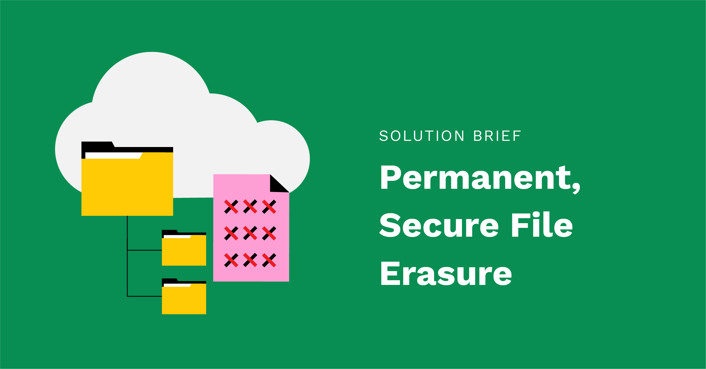 Solution brief – Permanent, Secure File Erasure