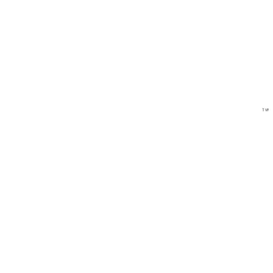 Wasabi